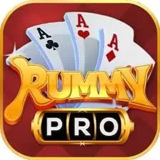 rummy 500 joker rules pcmcindia.gov.in